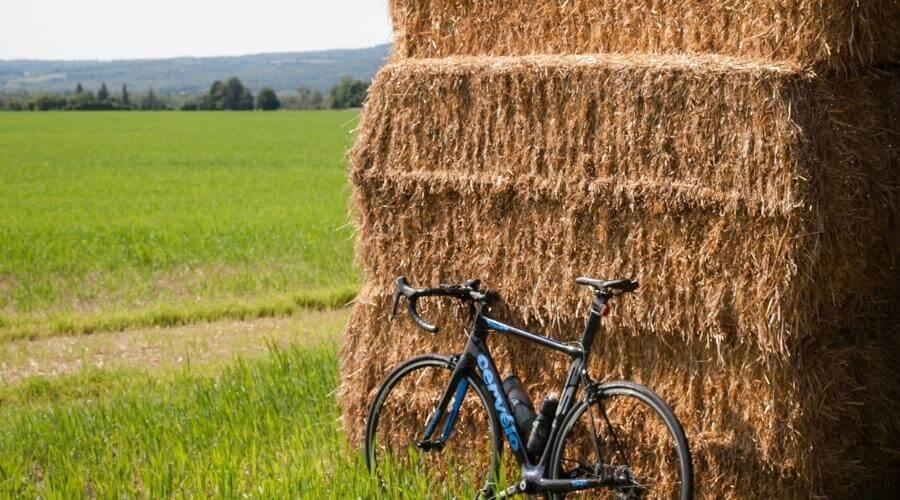 Cycling around Bologna